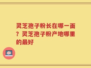 灵芝孢子粉长在哪一面？灵芝孢子粉产地哪里的最好