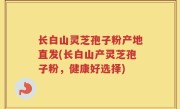 长白山灵芝孢子粉产地直发(长白山产灵芝孢子粉，健康好选择)