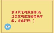 浙江灵芝鸡蛋直播(浙江灵芝鸡蛋直播带来丰收，迎来好评！)