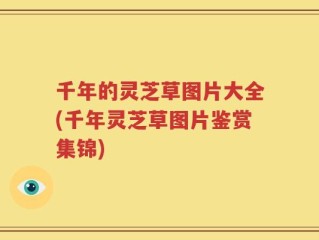 千年的灵芝草图片大全(千年灵芝草图片鉴赏集锦)
