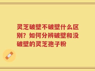 灵芝破壁不破壁什么区别？如何分辨破壁和没破壁的灵芝孢子粉