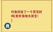 钓鱼挖出了一个灵芝好吗(意外发现大灵芝！)