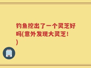 钓鱼挖出了一个灵芝好吗(意外发现大灵芝！)