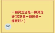 一颗灵芝还是一棵灵芝好(灵芝是一颗还是一棵更好？)