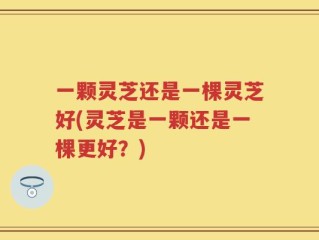 一颗灵芝还是一棵灵芝好(灵芝是一颗还是一棵更好？)