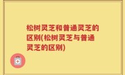 松树灵芝和普通灵芝的区别(松树灵芝与普通灵芝的区别)