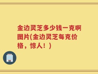 金边灵芝多少钱一克啊图片(金边灵芝每克价格，惊人！)