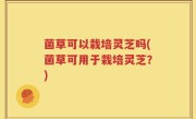 菌草可以栽培灵芝吗(菌草可用于栽培灵芝？)