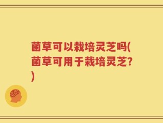 菌草可以栽培灵芝吗(菌草可用于栽培灵芝？)
