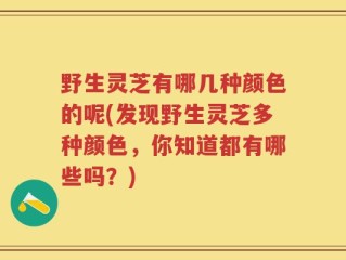 野生灵芝有哪几种颜色的呢(发现野生灵芝多种颜色，你知道都有哪些吗？)