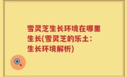 雪灵芝生长环境在哪里生长(雪灵芝的乐土：生长环境解析)