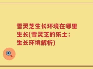 雪灵芝生长环境在哪里生长(雪灵芝的乐土：生长环境解析)