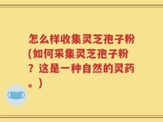 怎么样收集灵芝孢子粉(如何采集灵芝孢子粉？这是一种自然的灵药。)