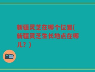 新疆灵芝在哪个位置(新疆灵芝生长地点在哪儿？)