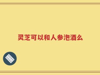 灵芝可以和人参泡酒么