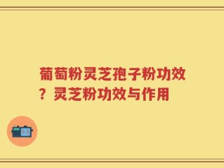 葡萄粉灵芝孢子粉功效？灵芝粉功效与作用