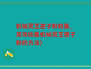 机械灵芝孢子粉收集_高效收集机械灵芝孢子粉的方法)