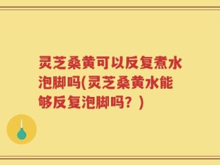 灵芝桑黄可以反复煮水泡脚吗(灵芝桑黄水能够反复泡脚吗？)