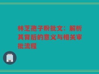 林芝孢子粉批文：解析其背后的意义与相关审批流程