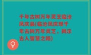千年古树万年灵芝临沧凤庆县(临沧凤庆现千年古树万年灵芝，揭示古人智慧之路)