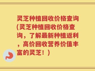 灵芝种植回收价格查询(灵芝种植回收价格查询，了解最新种植返利，高价回收营养价值丰富的灵芝！)