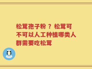 松茸孢子粉 ？松茸可不可以人工种植哪类人群需要吃松茸