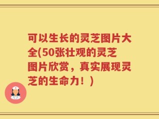 可以生长的灵芝图片大全(50张壮观的灵芝图片欣赏，真实展现灵芝的生命力！)