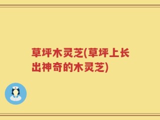 草坪木灵芝(草坪上长出神奇的木灵芝)