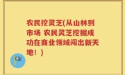 农民挖灵芝(从山林到市场 农民灵芝挖掘成功在商业领域闯出新天地！)