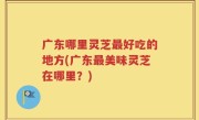 广东哪里灵芝最好吃的地方(广东最美味灵芝在哪里？)