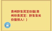 贵州野生灵芝价值(贵州珍贵灵芝：野生生长价值惊人！)