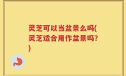 灵芝可以当盆景么吗(灵芝适合用作盆景吗？)