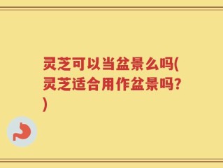 灵芝可以当盆景么吗(灵芝适合用作盆景吗？)