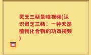 灵芝三萜是啥视频(认识灵芝三萜：一种天然植物化合物的功效视频)