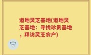 道地灵芝基地(道地灵芝基地：寻找珍贵基地，拜访灵芝农户)