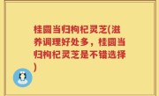 桂圆当归枸杞灵芝(滋养调理好处多，桂圆当归枸杞灵芝是不错选择)