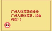 广州人吃灵芝的好处(广州人爱吃灵芝，缘由何在？)