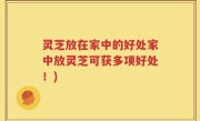 灵芝放在家中的好处家中放灵芝可获多项好处！)