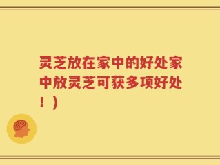 灵芝放在家中的好处家中放灵芝可获多项好处！)