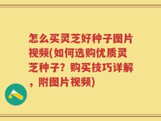 怎么买灵芝好种子图片视频(如何选购优质灵芝种子？购买技巧详解，附图片视频)
