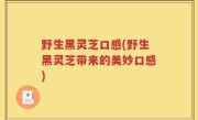 野生黑灵芝口感(野生黑灵芝带来的美妙口感)