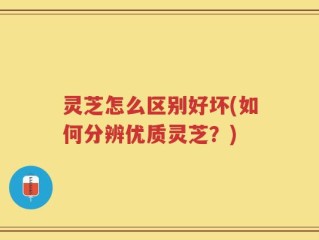 灵芝怎么区别好坏(如何分辨优质灵芝？)