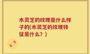 木灵芝的纹理是什么样子的(木灵芝的纹理特征是什么？)