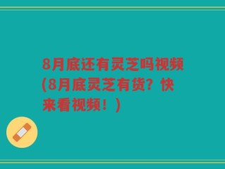 8月底还有灵芝吗视频(8月底灵芝有货？快来看视频！)