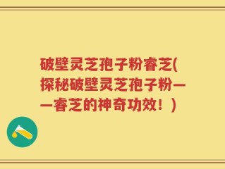 破壁灵芝孢子粉睿芝(探秘破壁灵芝孢子粉——睿芝的神奇功效！)