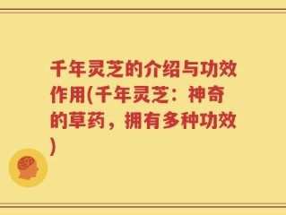 千年灵芝的介绍与功效作用(千年灵芝：神奇的草药，拥有多种功效)