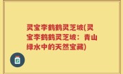 灵宝李鹤鹤灵芝坡(灵宝李鹤鹤灵芝坡：青山绿水中的天然宝藏)