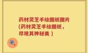 药材灵芝手绘图纸图片(药材灵芝手绘图纸，尽现其神秘美 )