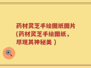 药材灵芝手绘图纸图片(药材灵芝手绘图纸，尽现其神秘美 )