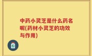 中药小灵芝是什么药名呢(药材小灵芝的功效与作用)